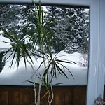Feriendomizil Tippe Apartment Braunlage