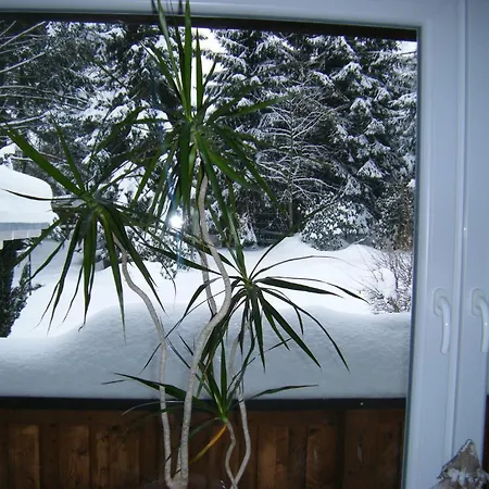 Feriendomizil Tippe Lejlighed Braunlage