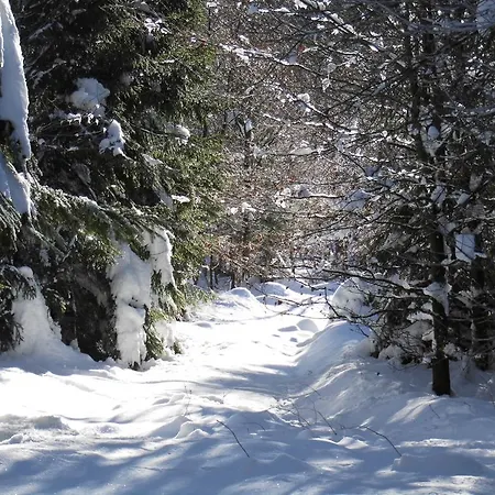 Lejlighed Feriendomizil Tippe Braunlage