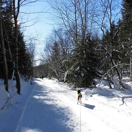 Feriendomizil Tippe Braunlage