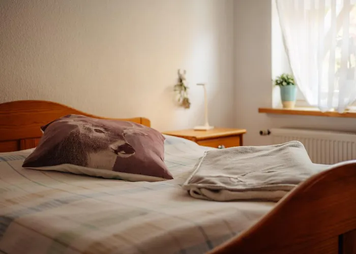 Feriendomizil Tippe Daire Braunlage