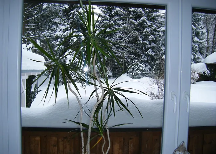 Feriendomizil Tippe Daire Braunlage