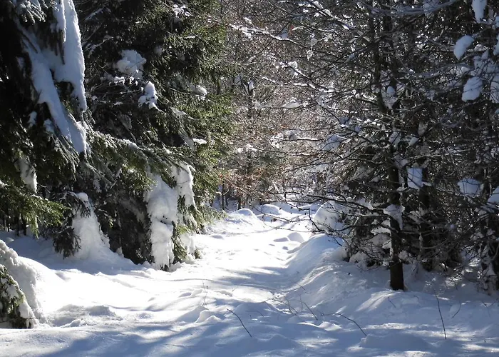 Daire Feriendomizil Tippe Braunlage