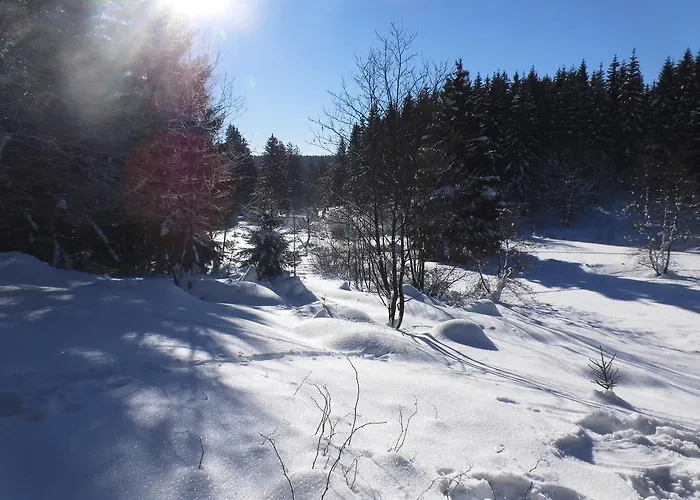 Feriendomizil Tippe Daire *